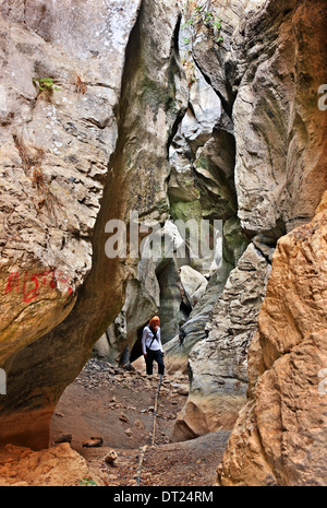 Der Canyon von Arvi, Viannos Gemeinde, Heraklion, Kreta, Griechenland. Stockfoto