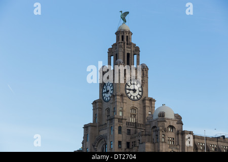 Nahaufnahme der Royal Liver Building an Liverpools berühmten Uferpromenade. Stockfoto