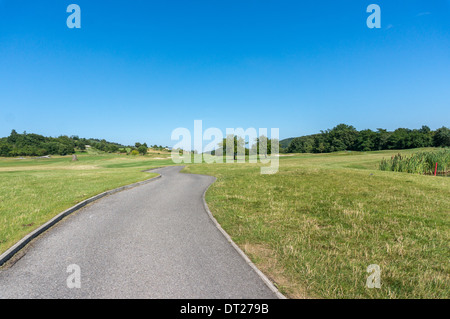 Ein windiger Pfad führt durch einen park Stockfoto