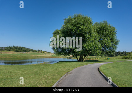 Einem gekrümmten Pfad führt vorbei an einigen Bäumen unter strahlend blauem Himmel Stockfoto