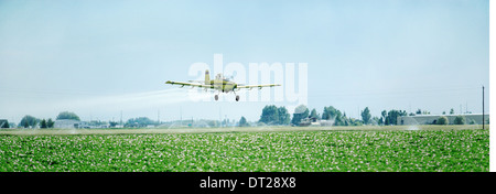 Ein Blick auf ein Sprühflugzeug Spritzen grünen Ackerland. Stockfoto