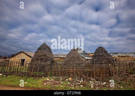 Heu Stapeln in Vrondero Dorf ganz in der Nähe der griechisch-albanischen Grenze, Prespes Seen, Florina, Mazedonien, Griechenland. Stockfoto