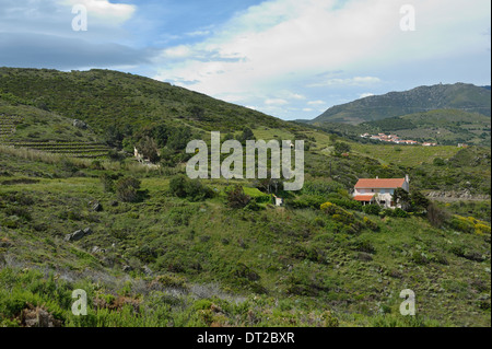 Blick vom Meer Wanderweg Port Vendres Frankreich Stockfoto