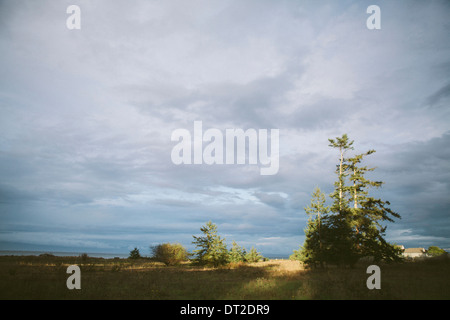 Einen grünen Park entlang des Ozeans Stockfoto