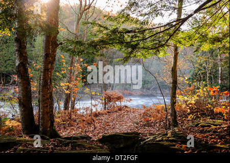 Herbstfarben am Habichtsbitterkraut Stromschnellen in Muskoka Stockfoto