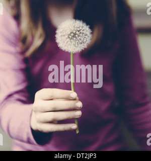 Ein zehn Jahre altes Mädchen hält ein Löwenzahn Uhr Seedhead an einem langen Stiel Stockfoto