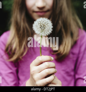 Ein zehn Jahre altes Mädchen hält ein Löwenzahn Uhr Seedhead an einem langen Stiel Stockfoto