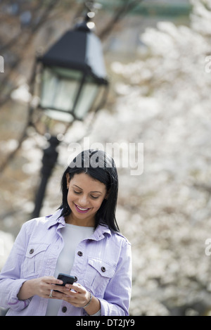 Frühling Park in New York City weiß blühen an den Bäumen eine junge Frau ihr Handy überprüfen und lächelnd Stockfoto