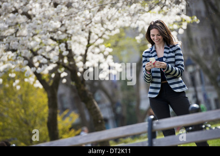 Im Freien in der Stadt im Frühling Park in New York City weiß blühen die Bäume A Frau stehend überprüft ihr Handy Stockfoto