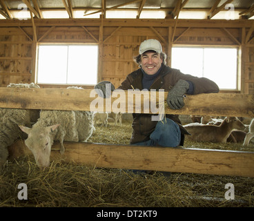 Ein Bio-Bauernhof im Winter im kalten Frühling New York Staat A Familie arbeiten, Fürsorge für die Bauern Vieh und Schafe in einen Stift Stockfoto