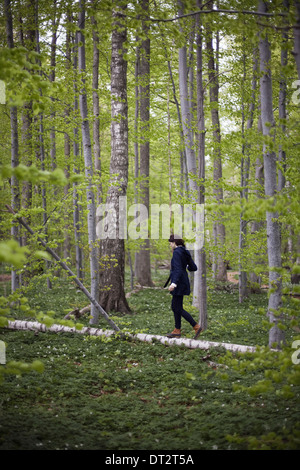 Eine Frau zu Fuß entlang eines gefallenen Baumstammes in den Wäldern Abgleich auf dem schmalen Stück des Holzes Stockfoto