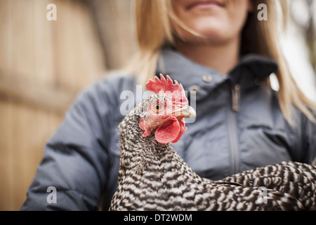 Eine Frau trägt einen grauen Mantel und hält ein Huhn Stockfoto