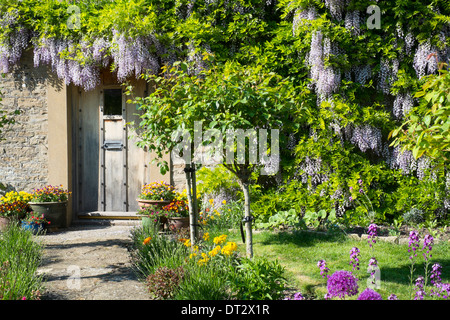 Bauerngarten Detail, Dorset Stockfoto