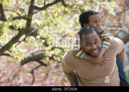Sonnenschein und Kirschen blühen einen Vater seinen Sohn auf den Schultern tragen Stockfoto