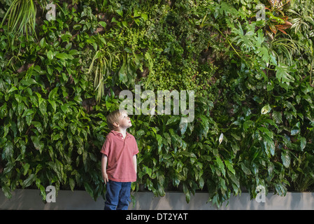 Stadt im Frühjahr ein urbanen Lifestyle A junge blickte zu einer Wand mit üppiger Vegetation Farne und hellgrünen Blättern bedeckt Stockfoto