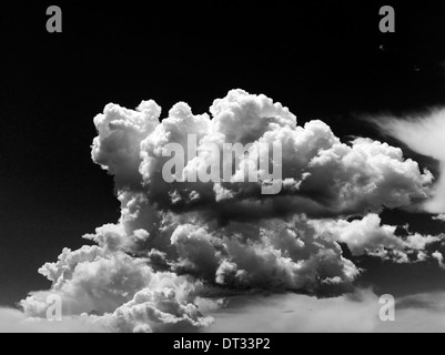 Schwarzen & weißen Blick auf weißen geschwollenen Cumulus-Wolken gegen Colorado wolkenlos Stockfoto