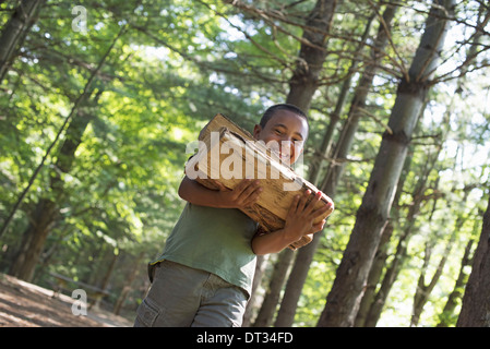 Summer-A Boy mit Brennholz durch den Wald Stockfoto