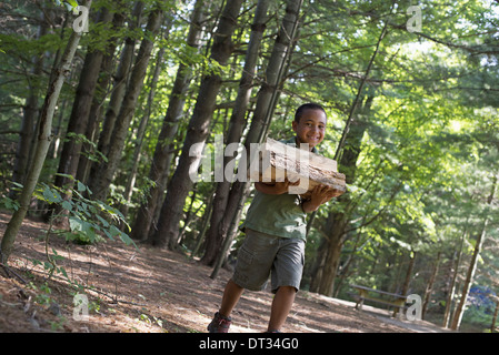 Summer-A Boy mit Brennholz durch den Wald Stockfoto