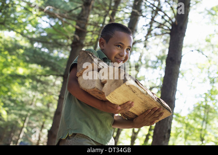 Summer-A Boy mit Brennholz durch den Wald Stockfoto