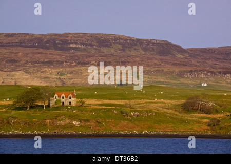 Verlassenes Haus und Weide auf Isle Of Skye, Schottland Stockfoto