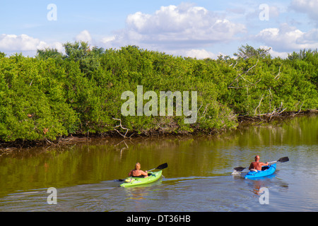 Florida Sanibel Barrier Island, J.N. JN Ding Darling National Wildlife Refuge, Erwachsene Erwachsene Männer Männer männlich, Frau Frauen weibliche Dame, Paar, Kajaks, Kajakfahren, Stockfoto