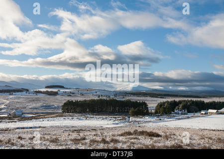 Die Braes Abernethy im Cairngorm National Park. Stockfoto