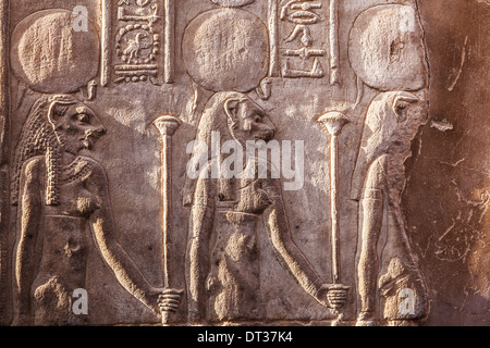 Bas-Reliefs an der Wand des alten ägyptischen Tempels in Kom Ombo. Stockfoto