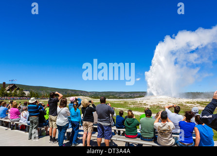 Touristen, die gerade des Ausbruchs des Old Faithful Geysir, Upper Geyser Basin, Yellowstone-Nationalpark, Wyoming, USA Stockfoto