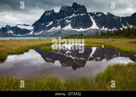 Jasper Nationalpark, Alberta, Kanada Stockfoto