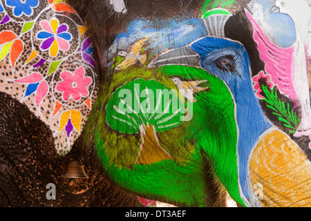 Bemalte Elefanten während Holi, das hinduistische Festival der Farben, in Jaipur, Indien. Bilder von Pfauen und Tiger auf der Stirn. Stockfoto