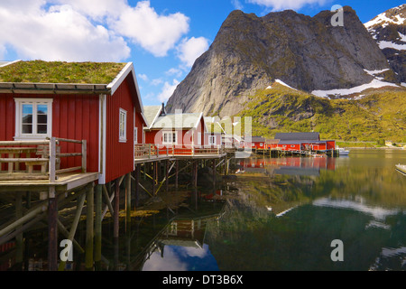 Typische rote Rorbu-Hütten mit Sod Dach auf Lofoten in Norwegen reflektieren im Fjord Angeln Stockfoto