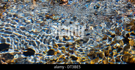 Licht und Schatten auf Wellen in einem flachen Abschnitt des Sol Duc River, Olympic Nationalpark, Washington, USA Stockfoto