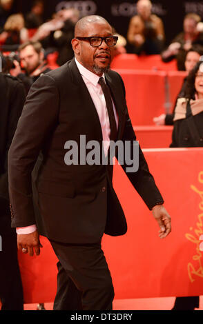 BERLIN, Deutschland, 7. Februar 2014. Forest Whitaker besucht die "Zwei Männer in der Stadt"-Premiere am auf die 64. jährliche Berlinale International Film Festival im Berlinale-Palast am 7. Februar 2014 in Berlin, Deutschland. Bildnachweis: Janne Tervonen/Alamy Live-Nachrichten Stockfoto