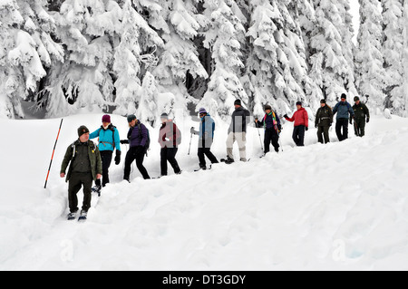 US-Innenminister Sally Jewell Schneeschuhen durch gefrorene alpine Wildnis während eines Besuchs in Mount Rainier Nationalpark 3. Februar 2014 in Ashford, Washington. Stockfoto