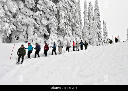 US-Innenminister Sally Jewell Schneeschuhen durch gefrorene alpine Wildnis während eines Besuchs in Mount Rainier Nationalpark 3. Februar 2014 in Ashford, Washington. Stockfoto