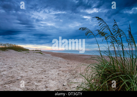 Gewitterwolken einziehen über den Strand, Amelia Island, Florida. Stockfoto