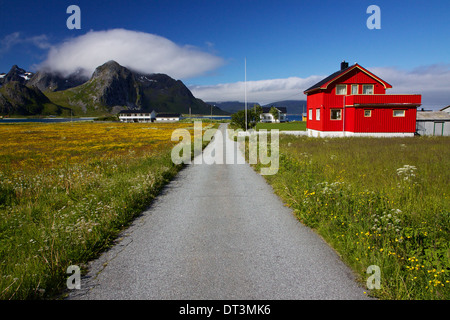 Straße über blühende Wiesen, vorbei an bunten Häusern auf Lofoten in Norwegen. Stockfoto