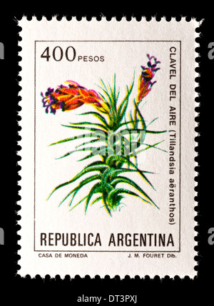 Briefmarke aus Argentinien, die Darstellung der Blumen von Tillandsia aeranthus Stockfoto