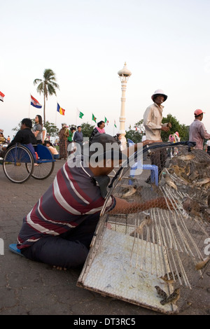 Ein Vogel-Verkäufer bereitet sich Vögel an Touristen auf der Uferpromenade in Phnom Penh, Kambodscha zu verkaufen. Stockfoto