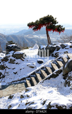 Beijing. 8. Februar 2014. Foto aufgenommen am 8. Februar 2014 zeigt die Schnee-Landschaft am Xiangshan oder duftende Hills, in Peking, Hauptstadt von China. Schnee Landschaft Berge wie Xinagshan ist einer der "acht landschaftlichen Sehenswürdigkeiten von Peking". Bildnachweis: Yin Xundong/Xinhua/Alamy Live-Nachrichten Stockfoto