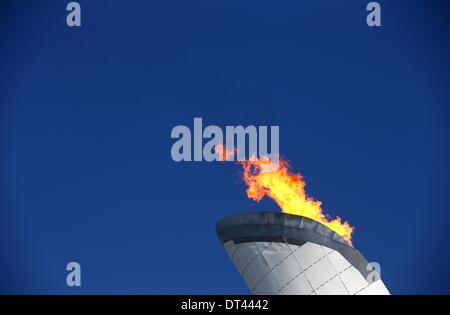 Sotschi, Russland. 8. Februar 2014. Das Olympische Feuer brennt im Olympiapark bei den Sochi 2014 Olympischen Spielen, Sotschi, Russland, 8. Februar 2014. Foto: Christian Charisius/Dpa/Alamy Live News Stockfoto