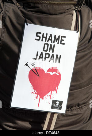 Berlin, Deutschland. 8. Februar 2014. Ein Plakat liest "Schande über Japan" bei einer Demonstration gegen die Tötung von Delfinen in Taiji (Japan), das von Tierschutzorganisation WDSF in Berlin organisiert wurde. Nach Angaben der Polizei rund 1000 Menschen demonstrierten gegen die Tötung von Delfinen die japanische Küste vor der japanischen Botschaft in Berlin. . Foto: PAUL ZINKEN/DPA-NO WIRE SERVICE/KEIN BILDFUNK - Credit: Dpa picture-Alliance/Alamy Live News Stockfoto