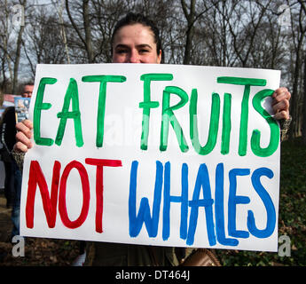 Berlin, Deutschland. 8. Februar 2014. Ein Plakat liest "Essen Früchte nicht Wale" bei einer Demonstration gegen die Tötung von Delfinen in Taiji (Japan), das von Tierrechten organisiert wurde WDSF in Berlin Gruppe. Nach Angaben der Polizei rund 1000 Menschen demonstrierten gegen die Tötung von Delfinen die japanische Küste vor der japanischen Botschaft in Berlin. . Foto: PAUL ZINKEN/DPA-NO WIRE SERVICE/KEIN BILDFUNK - Credit: Dpa picture-Alliance/Alamy Live News Stockfoto