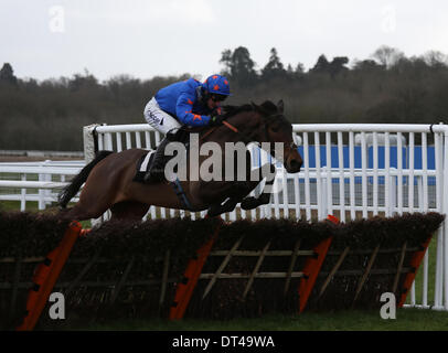 Newbury, Berkshire, UK. 8. Februar 2014. Calipto und Daryl Jacob in Aktion bei der Betfair Super Samstag treffen in Newbury Racecourse Credit: Action Plus Sport/Alamy Live News Stockfoto