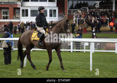 Newbury, Berkshire, UK. 8. Februar 2014. Denman führt die Parade für die Denman Chase bei der Betfair Super Samstag treffen in Newbury Racecourse Credit: Action Plus Sport/Alamy Live News Stockfoto