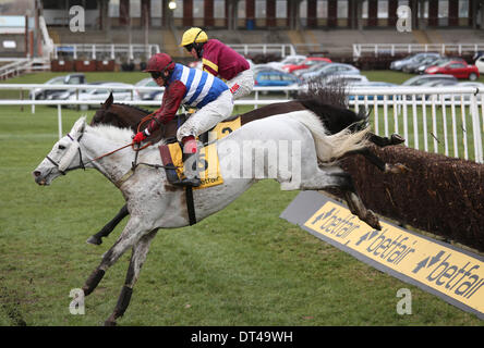 Newbury, Berkshire, UK. 8. Februar 2014. Harry Topper (Farside) und Walkon in Denman Chase bei der Betfair Super Samstag treffen in Newbury Racecourse Credit: Action Plus Sport/Alamy Live News Stockfoto