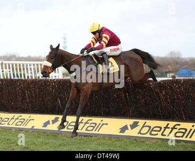 Newbury, Berkshire, UK. 8. Februar 2014. Harry Topper und Jason Magure gewinnen die Denman Chase bei der Betfair Super Samstag treffen in Newbury Racecourse Credit: Action Plus Sport/Alamy Live News Stockfoto