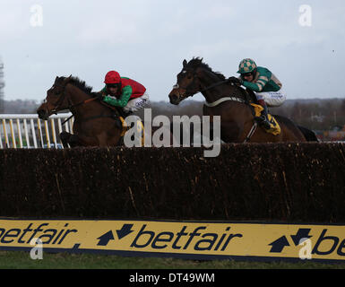 Newbury, Berkshire, UK. 8. Februar 2014. Modul (Beifahrerseite) und Ausweichen Kugeln in der Betfair Cash Out Steeple Chase bei der Betfair Super Samstag treffen in Newbury Racecourse Credit: Action Plus Sport/Alamy Live News Stockfoto