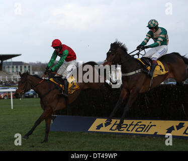 Newbury, Berkshire, UK. 8. Februar 2014. Modul (Beifahrerseite) und Paddy Brennan gewinnen bei der Betfair Super Samstag treffen in Newbury Racecourse Credit: Action Plus Sport/Alamy Live News Stockfoto