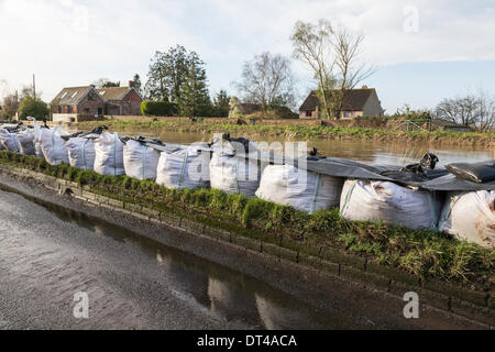 Verteidigung bei der Ortschaft Burrowbridge in Somerset am 8. Februar 2014 zu überfluten. Aufgrund der hohen Niederschläge Fluß Parrett wurde das Volumen des Wassers überfordert und hat in der Nähe Ackerland verlassen Häuser unter Wasser überschwemmt. Hier versuchen Sandsäcke und Ballast, The Riverside Straße, die parallel zur der Parrett aus immer unter Wasser zu verhindern. Eine schwere Wasseralarm bleibt und einige Bewohner zu evakuieren gesagt worden. © Nick Kabel/Alamy Live News Bildnachweis: Nick Kabel/Alamy Live-Nachrichten Stockfoto